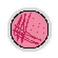 Mini Petri Dish